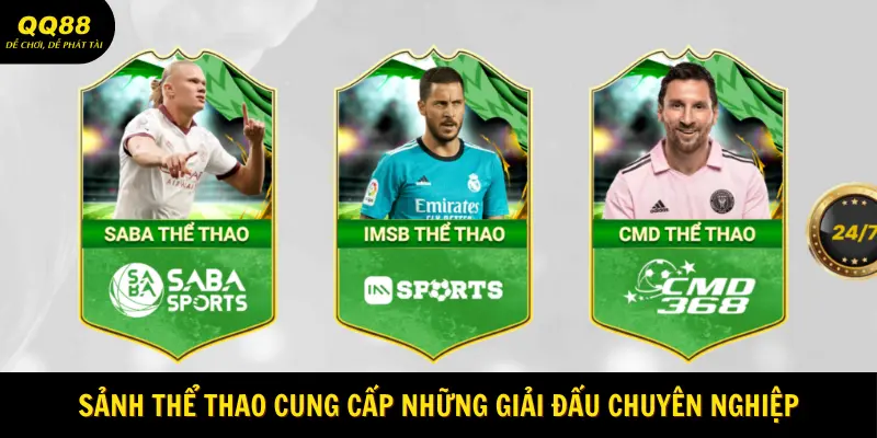 gioi-thieu-qq88-chi-tiet